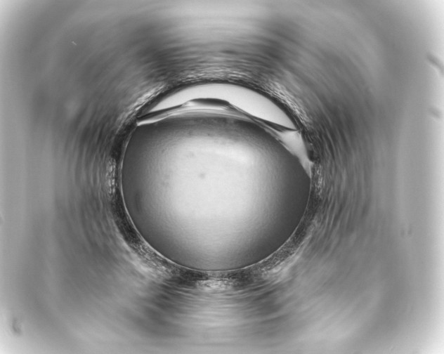 X0000093220356200710241221