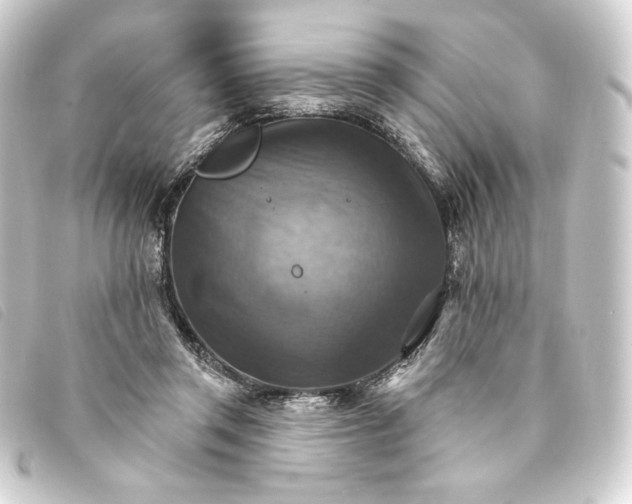 X0000093220357200710241221