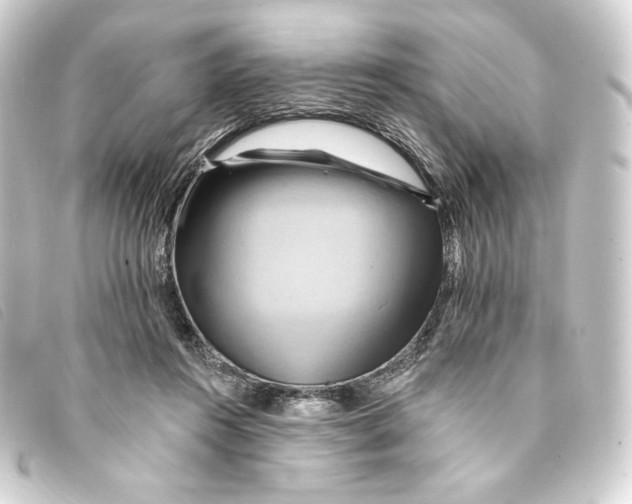 X0000093220360200710241221