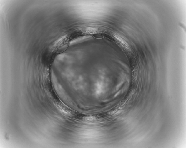 X0000093220361200710241221