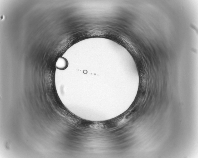 X0000093220362200710241221