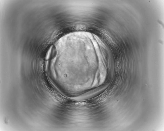 X0000093220363200710241221