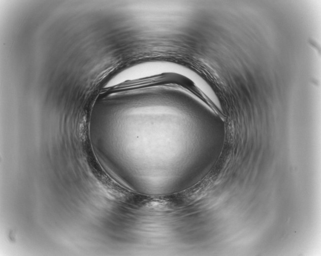 X0000093220364200710241221