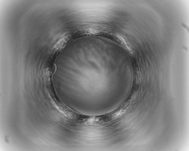 X0000093220366200710241221