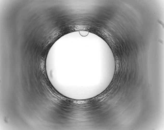 X0000093220367200710241221