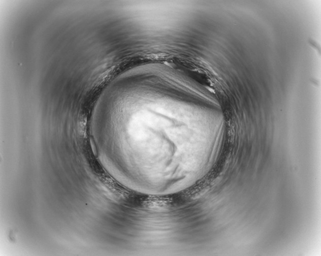 X0000093220368200710241221