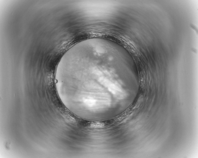 X0000093220369200710241221