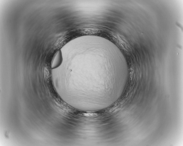 X0000093220371200710241221