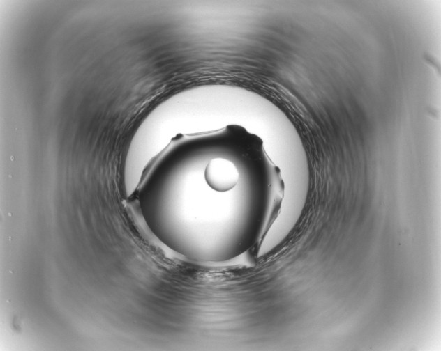 X0000093220372200710241221