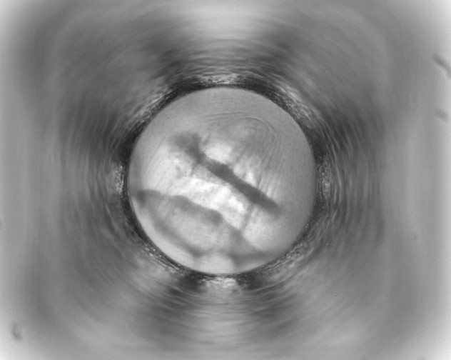 X0000093220374200710241221