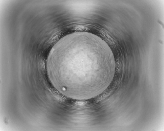 X0000093220375200710241221