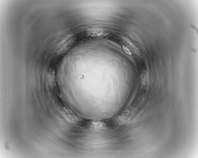 X0000093220376200710241221