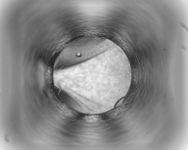 X0000093220378200710241221