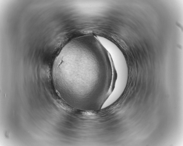 X0000093220380200710241221