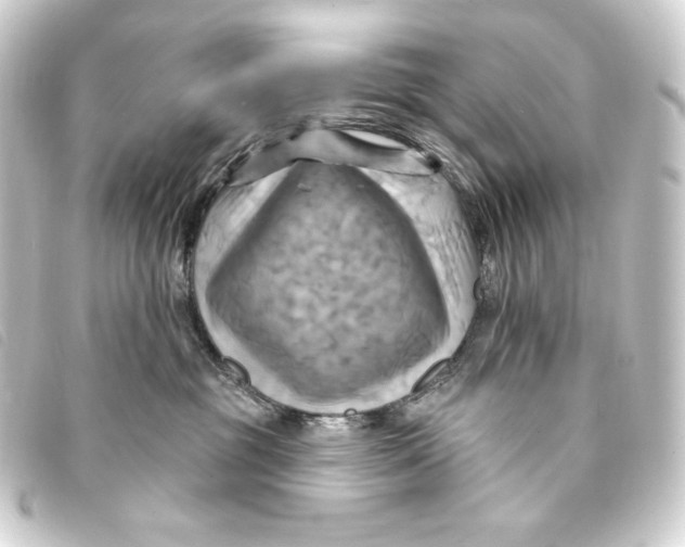 X0000093220381200710241221