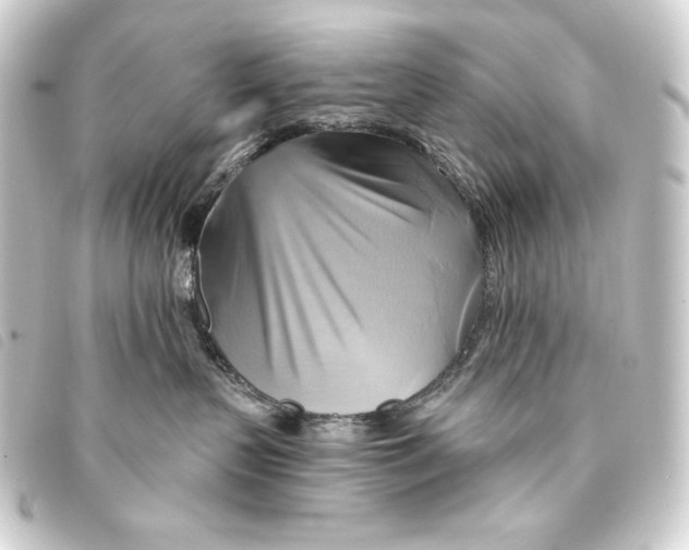 X0000093220383200710241221