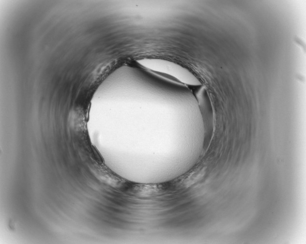 X0000093220384200710241221