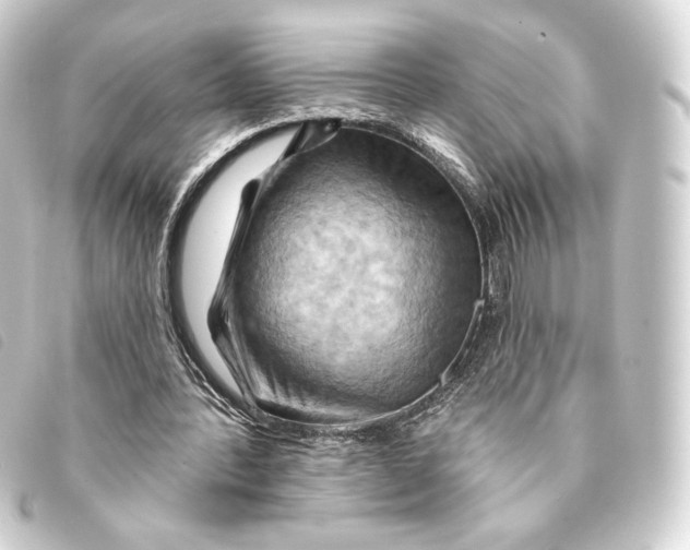 X0000093220388200710241220