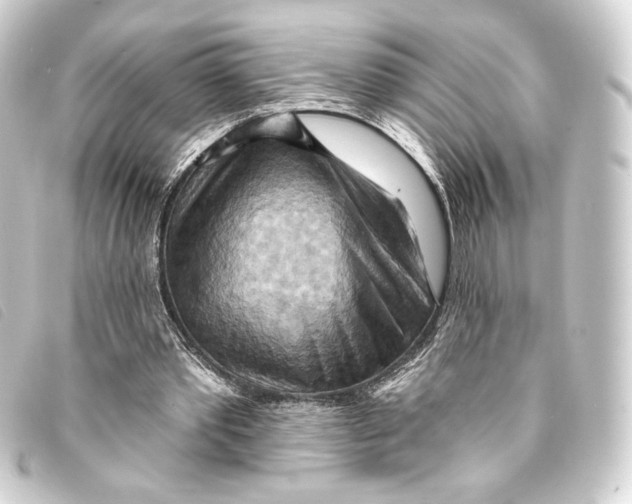 X0000093220389200710241220