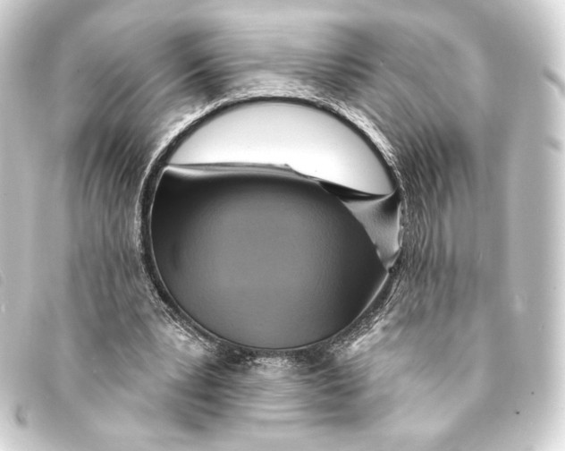 X0000093220391200710241220