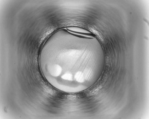 X0000093220394200710241220