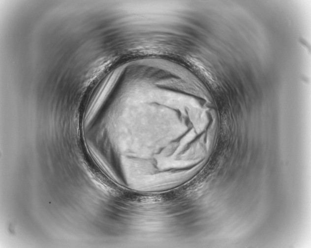 X0000093220398200710241220