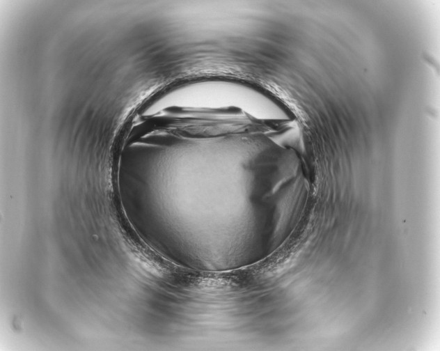 X0000093220399200710241220