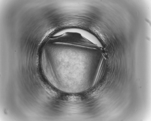 X0000093220400200710241220