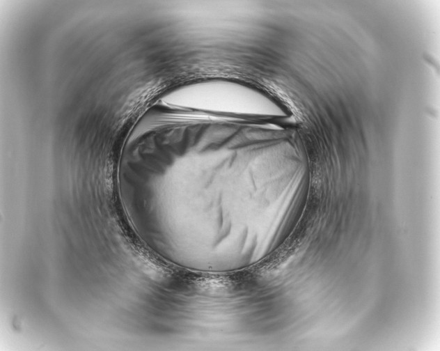 X0000093220402200710241220