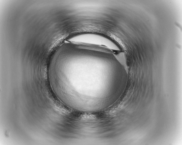 X0000093220403200710241220