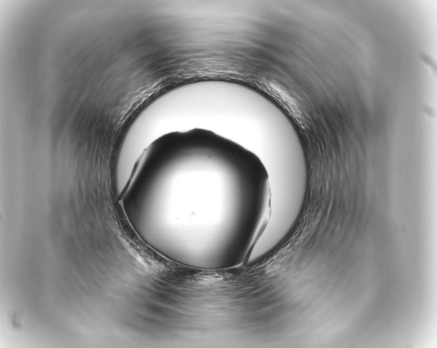 X0000093220405200710241220