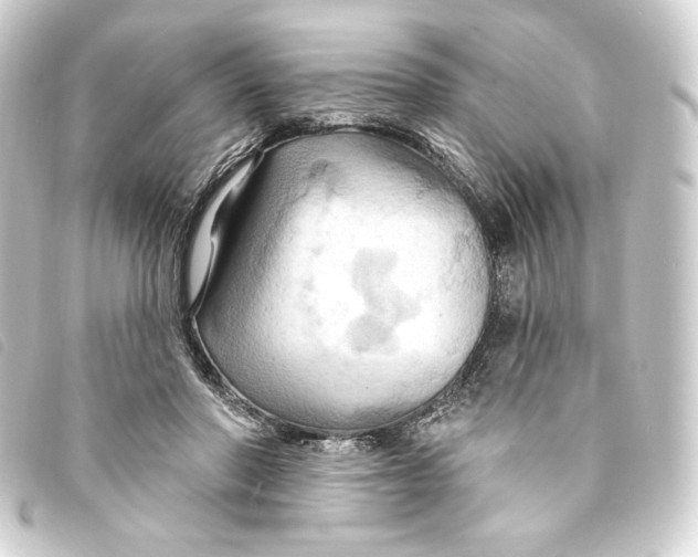 X0000093220406200710241220