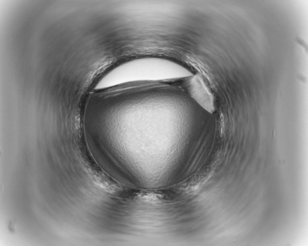 X0000093220407200710241220