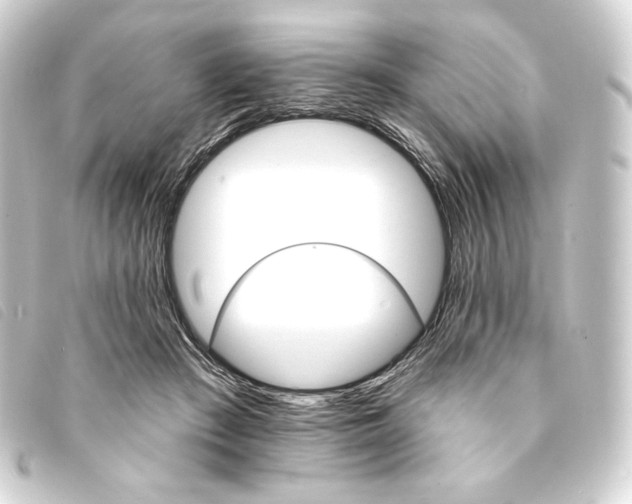 X0000093220409200710241220