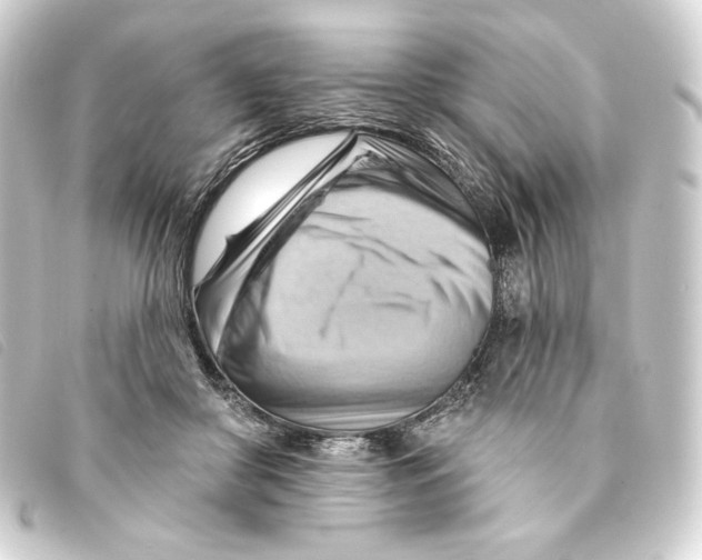 X0000093220410200710241220