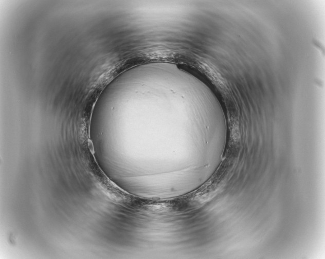 X0000093220411200710241220