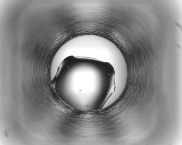 X0000093220412200710241220