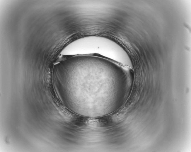 X0000093220413200710241220