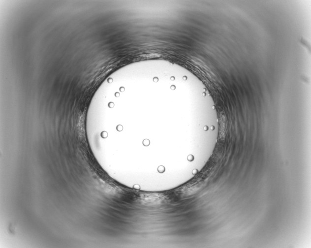 X0000093220414200710241220