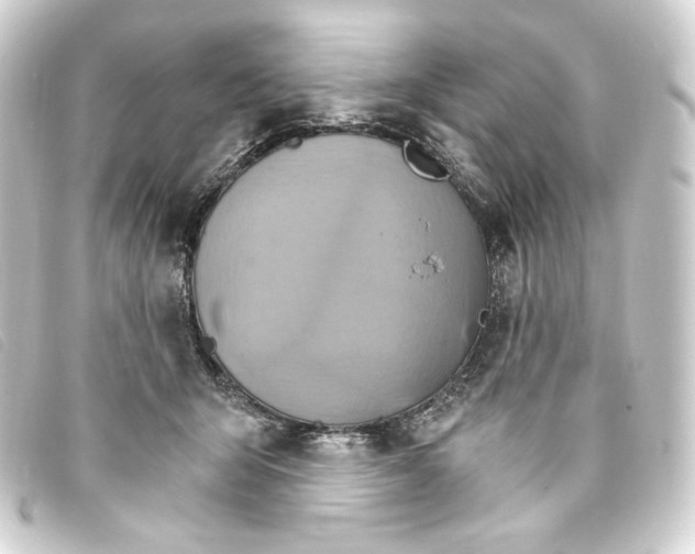 X0000093220415200710241220