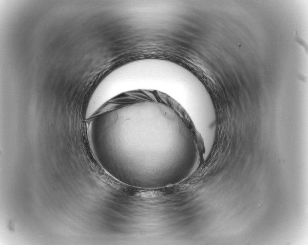 X0000093220417200710241220