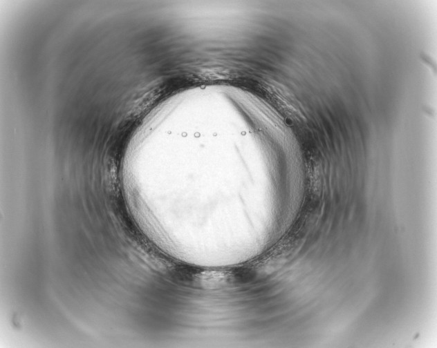 X0000093220418200710241220