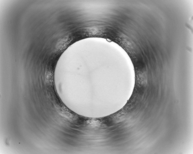 X0000093220419200710241220