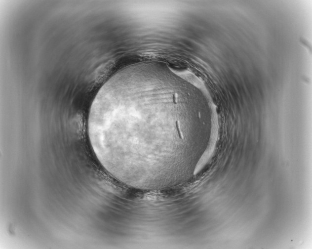 X0000093220420200710241220