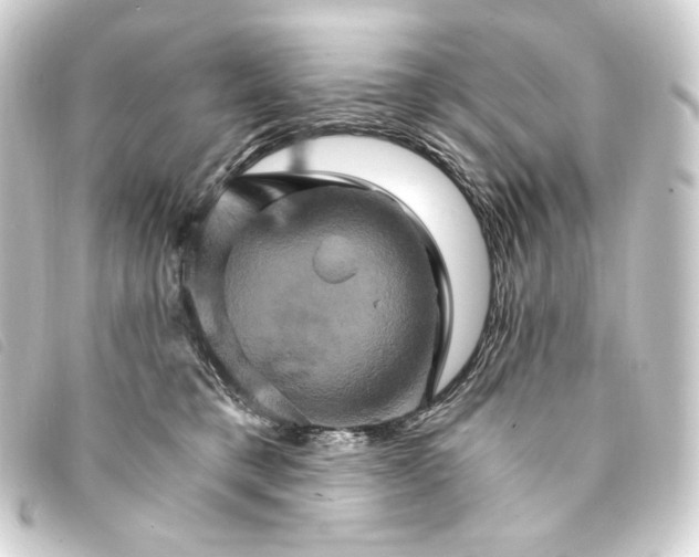 X0000093220421200710241220