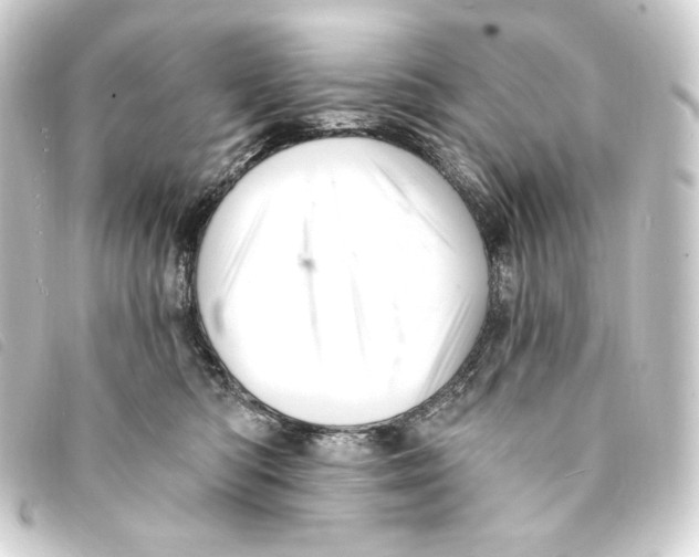 X0000093220422200710241220