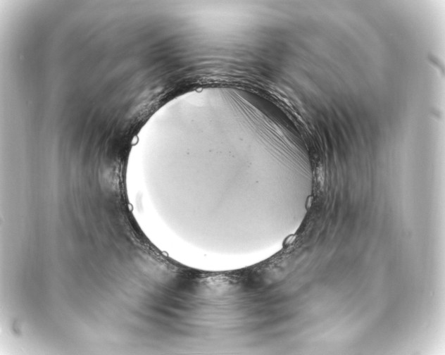 X0000093220423200710241220