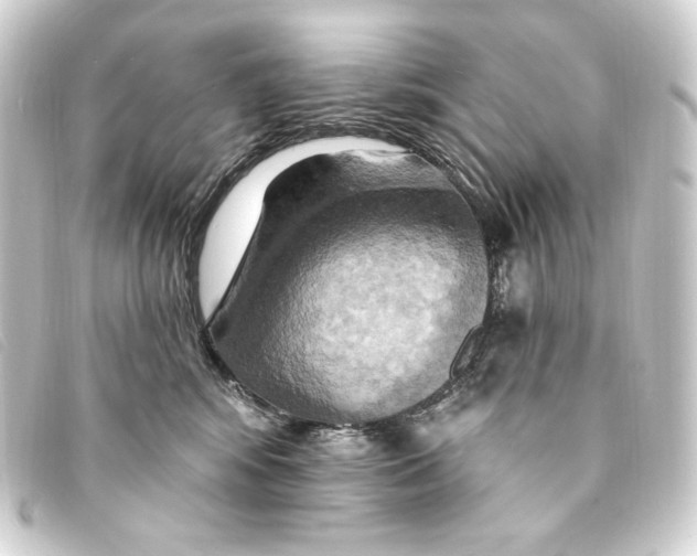 X0000093220424200710241220