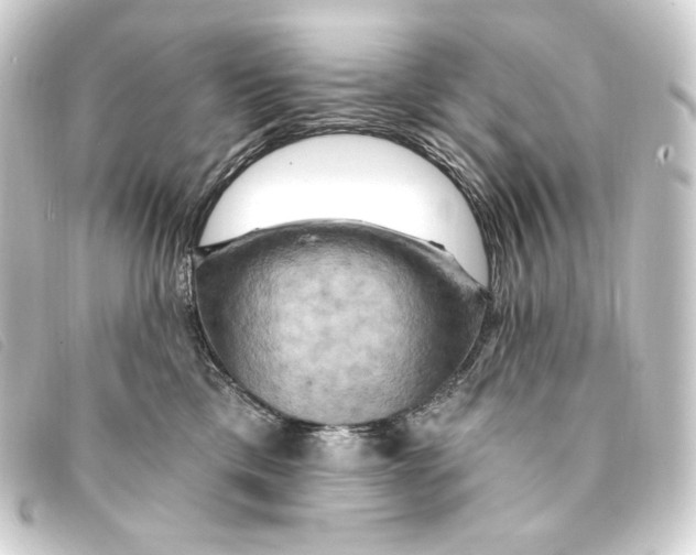 X0000093220425200710241220