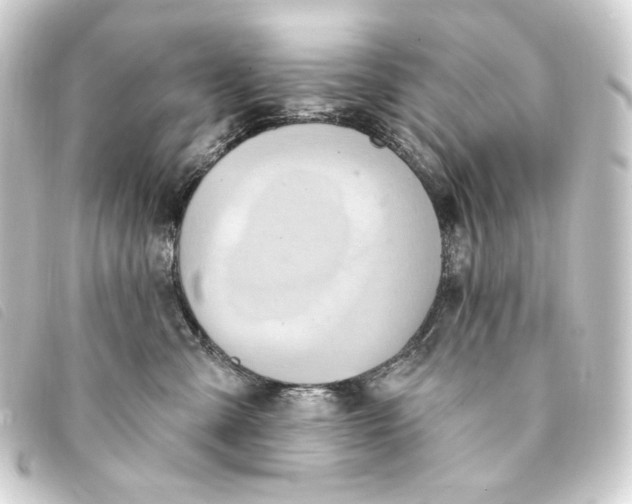 X0000093220427200710241220